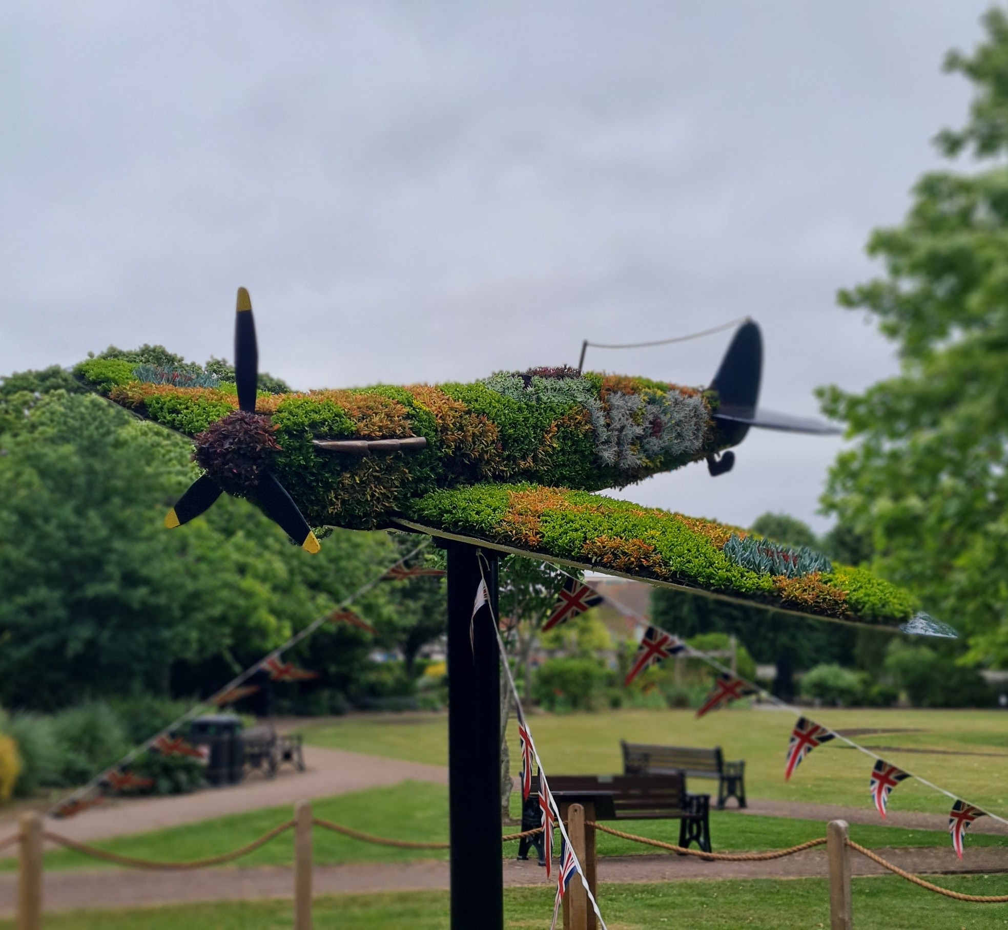 Floral Spitfire Returns to Memorial Gardens