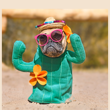 Barklife