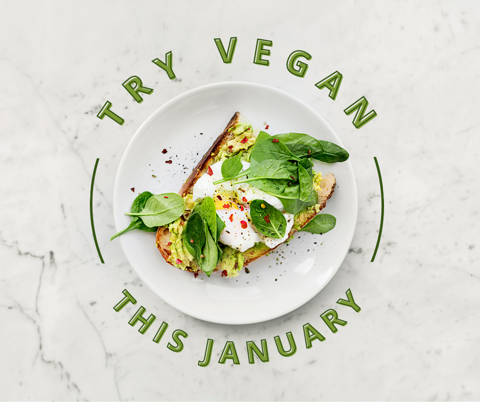 Vegan Friendly Shops in Ashford Love Ashford